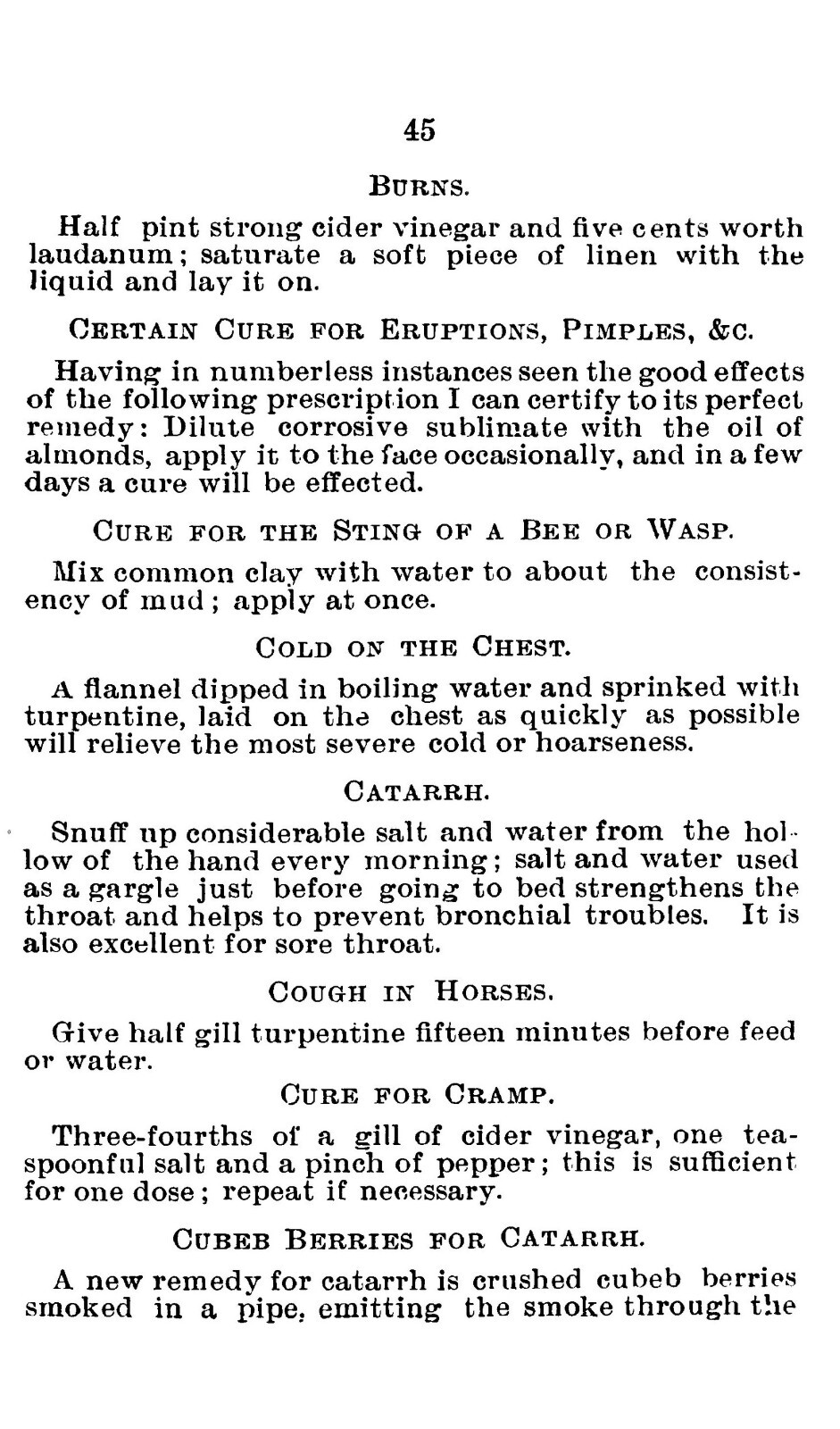 1893 The Worlds Fair Recipe Cook Book 119 Pages