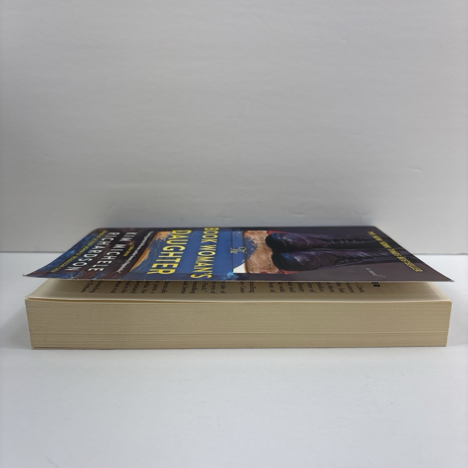 The Book Woman’s Daughter by Kim Michele Richardson NEW PB