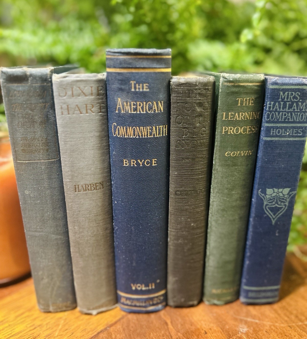 Set of 6 GREEN/BLUE ANTIQUE Books COTTAGE CORE Library Academia Decor Staging
