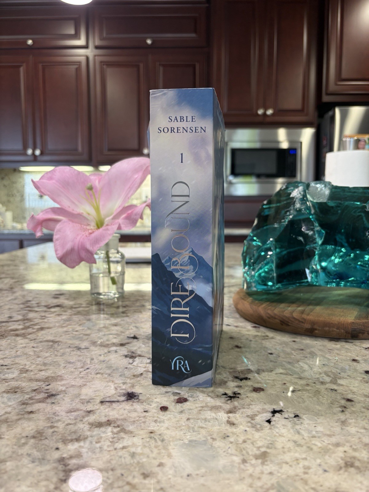 Dire Bound (Deluxe Limited Edition) by Sable Sorensen (2026, Paperback)