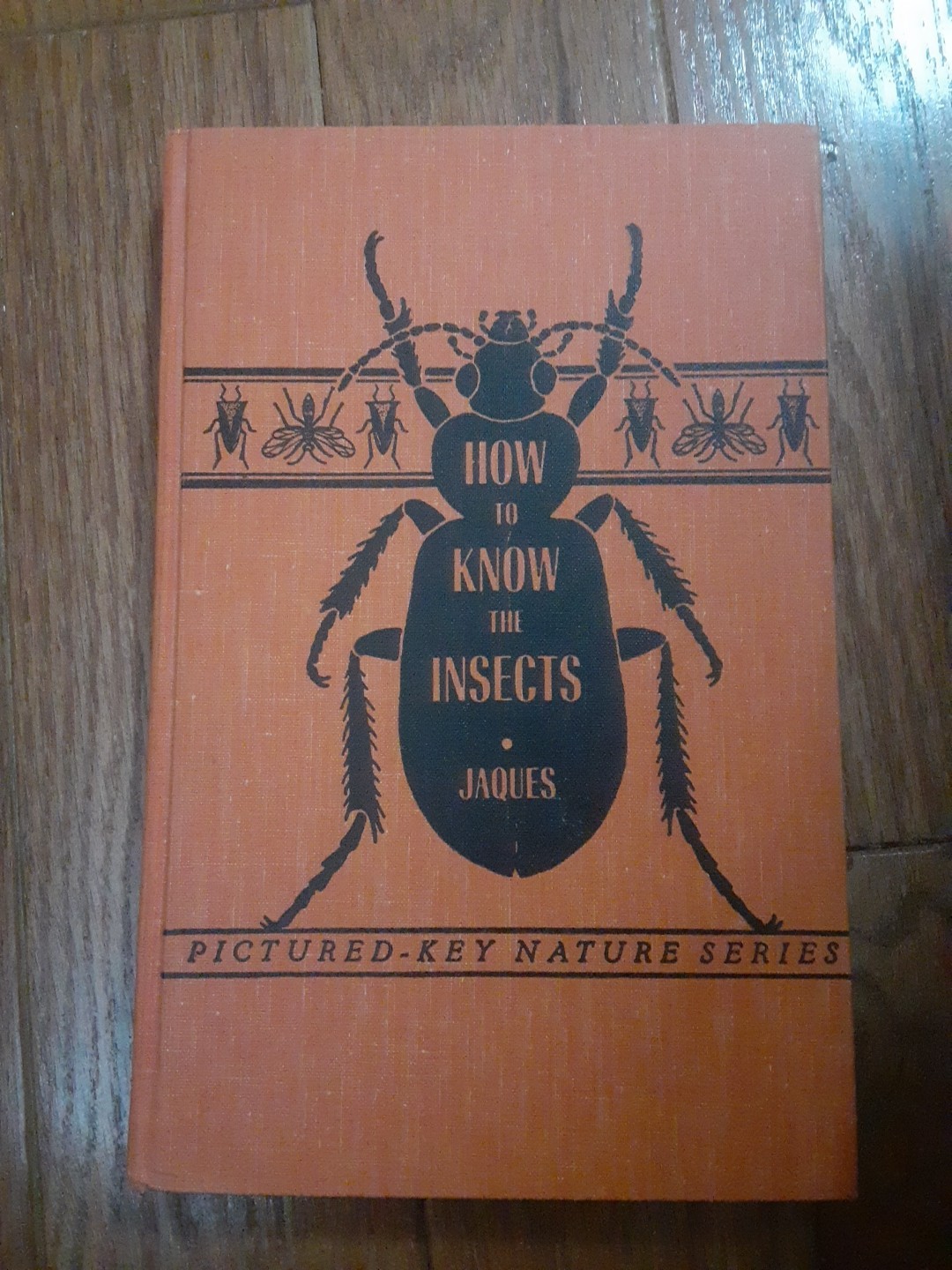 How To Know The Insects, By H.E. Jaques, Hardcover, Pictured Key Nature Series