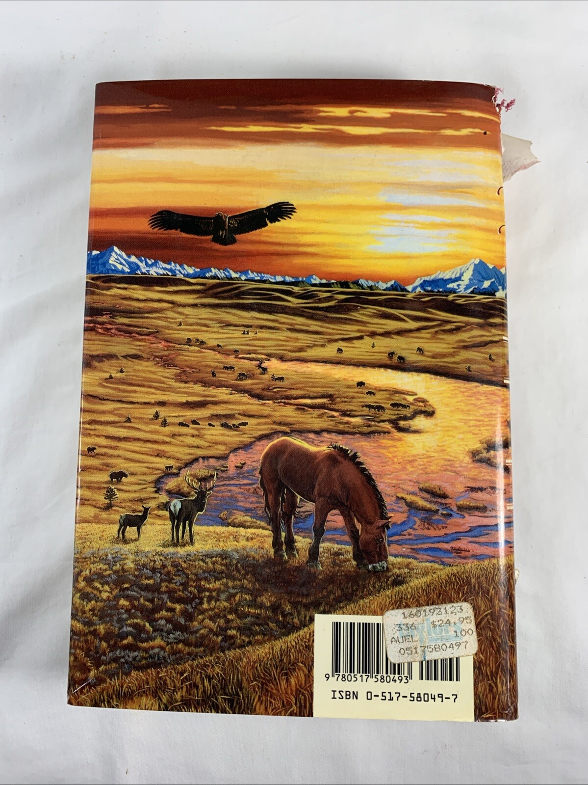 Earth’s Children Ser.: The Plains of Passage by Jean M. Auel (1990, Hardcover)