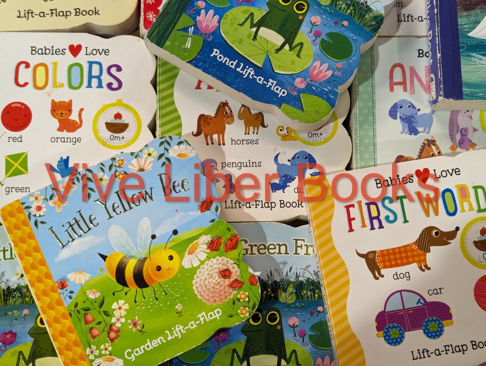 Lot of 5 Lift-A-Flap Board Books Lot Random