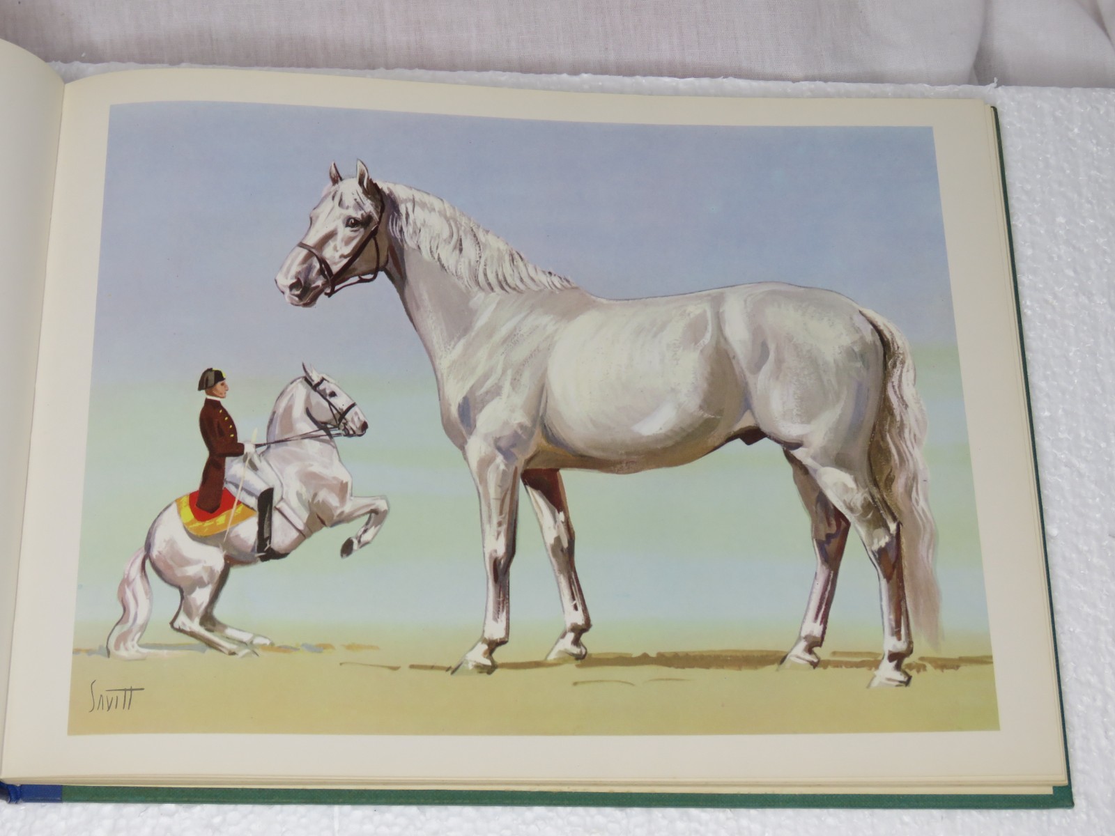 Horse Lithographs Prints Around the World with Horses Book Sam Savitt 1962 HC