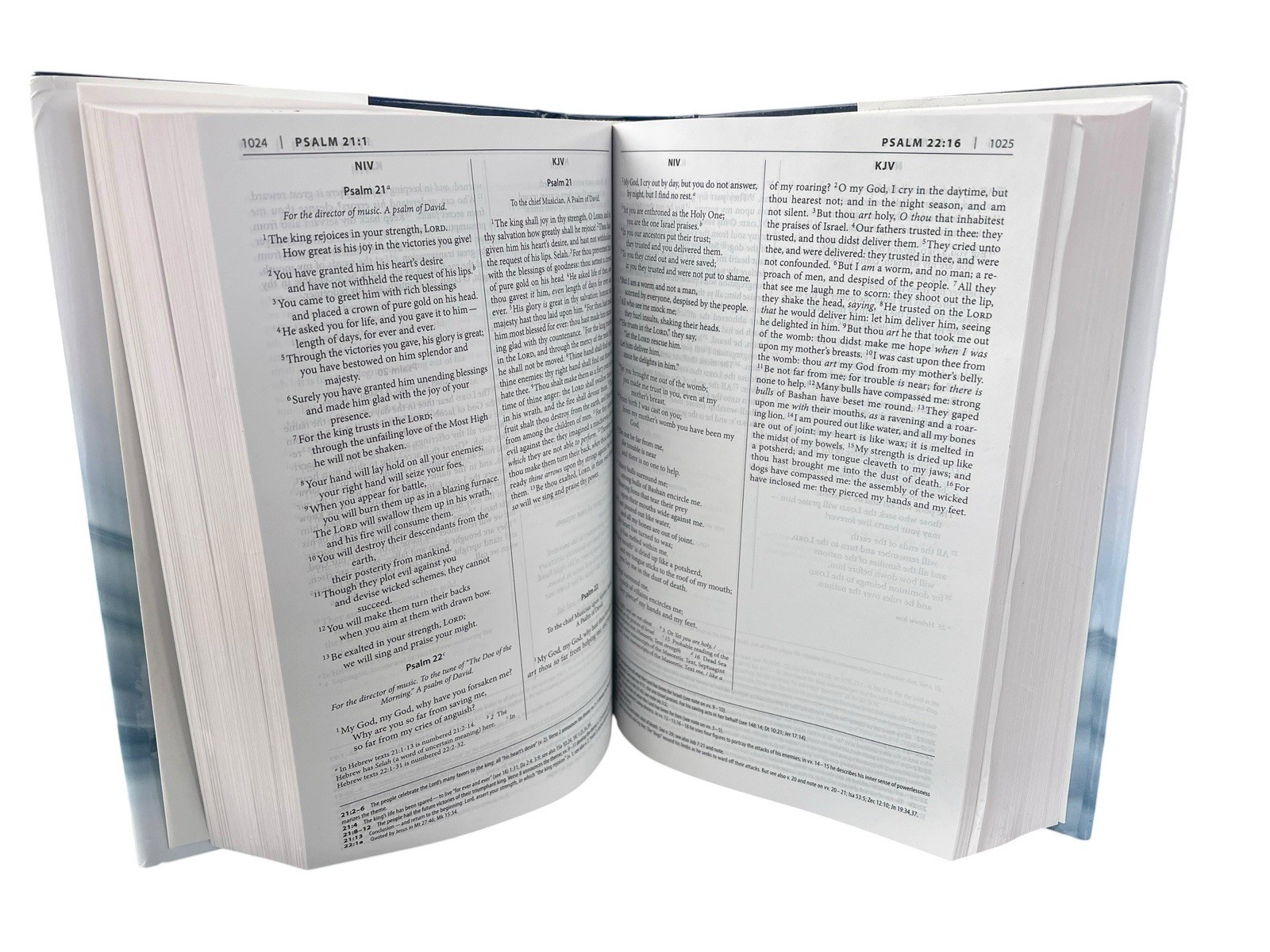 NIV & KJB Parallel Study Bible Hardcover Zondervan Charles & Andy Stanley ￼￼