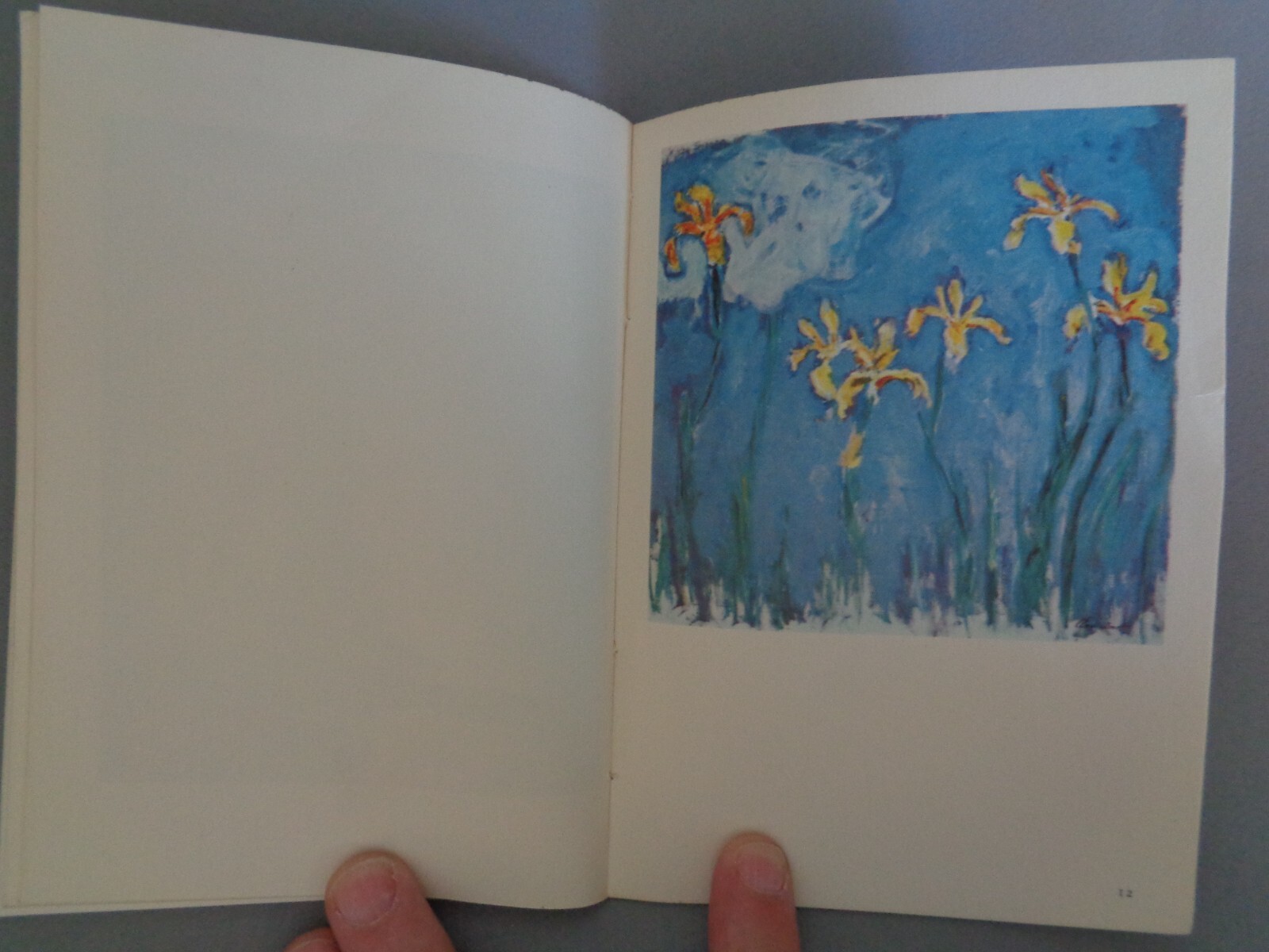Monet 1883-1926 by Jean Leymarie French Impressionism Paintings Water Lilies Art
