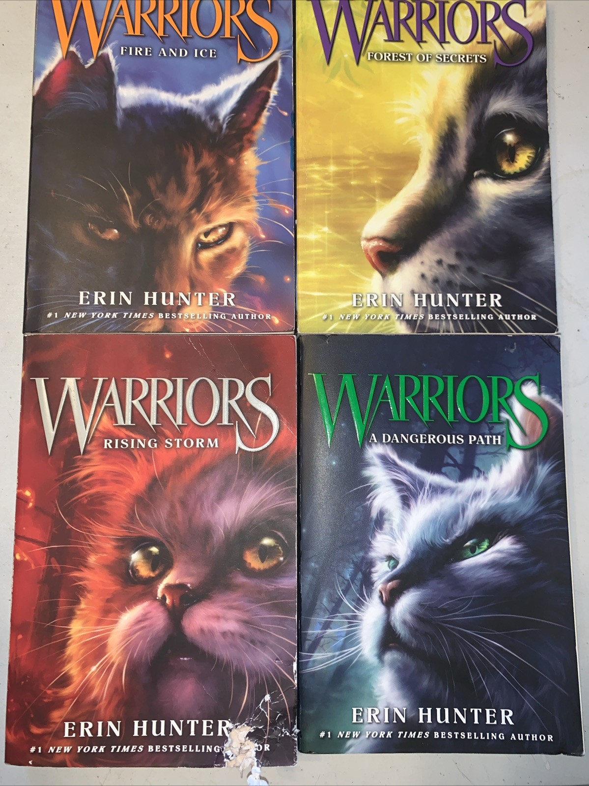 Warriors By Erin Hunter #2,3,4,5 Lot Of Paperback Books 1 W Damage See Pics