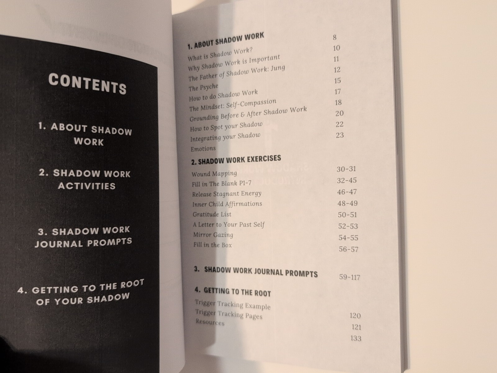 The Shadow Work Journal: A Guide to Integrate and Transcend Your Shadows