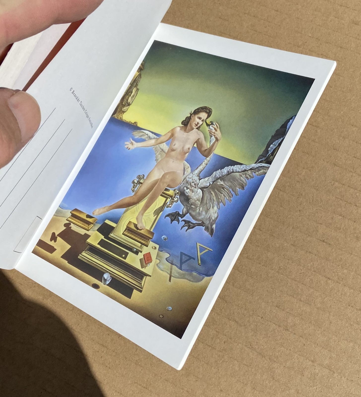 SALVADOR DALI 30 Postcards Postcard Booklet Book