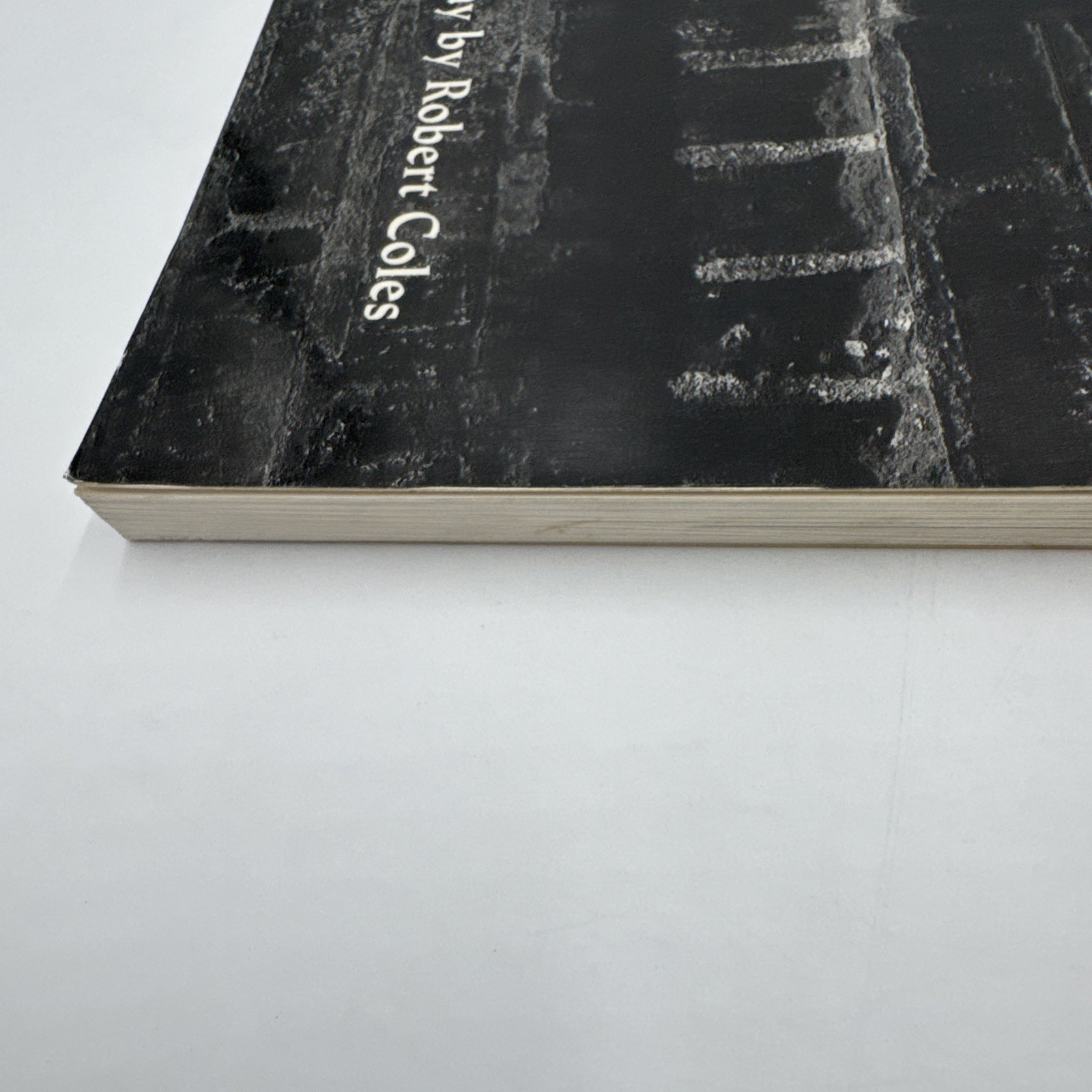 Helen Levitt In The Street 1987 1st Edition PB Chalk Drawings Messages Duke