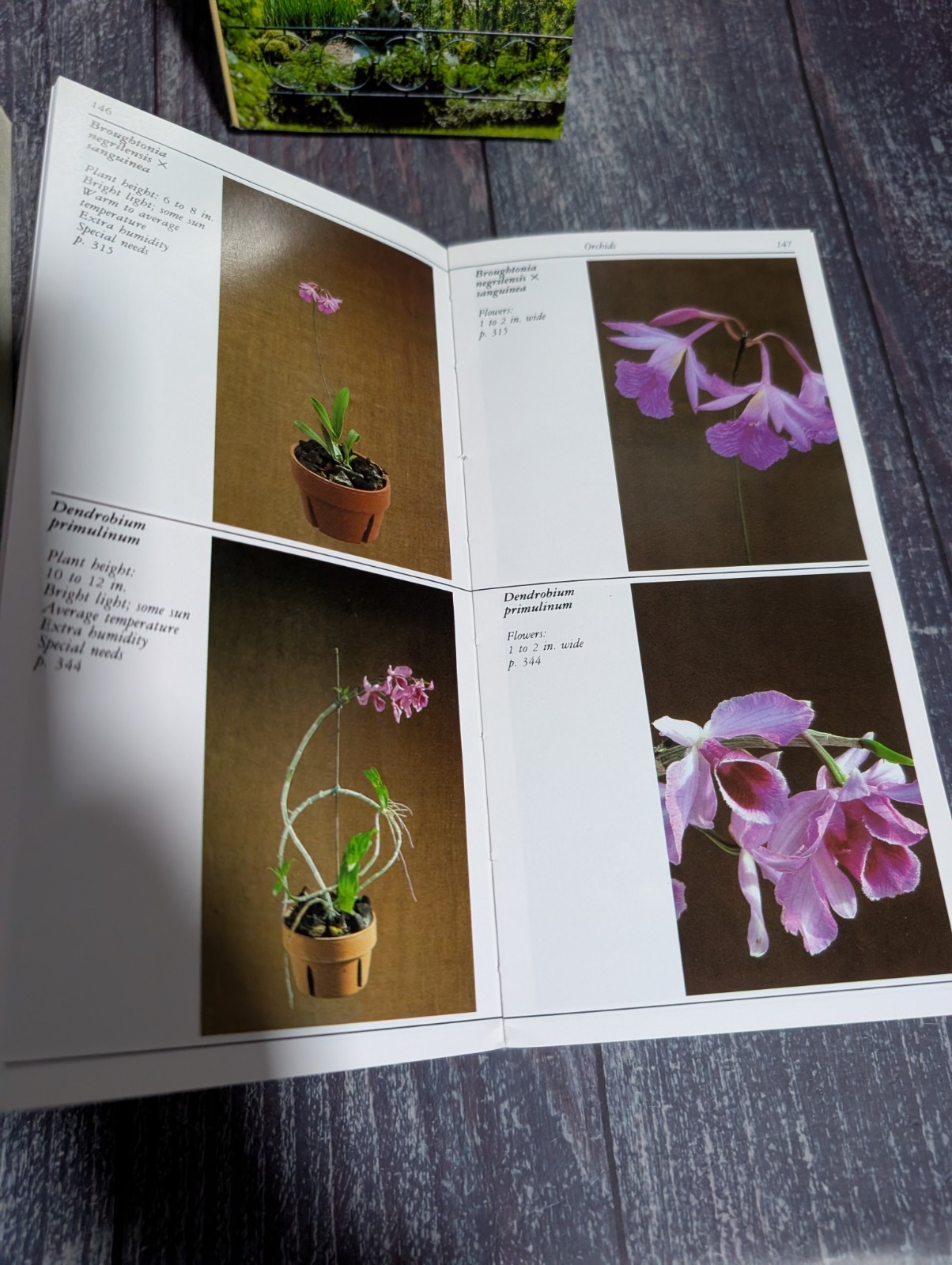 Taylor’s Guide To Book Lot: Garden Design, Ground Covers, Houseplants
