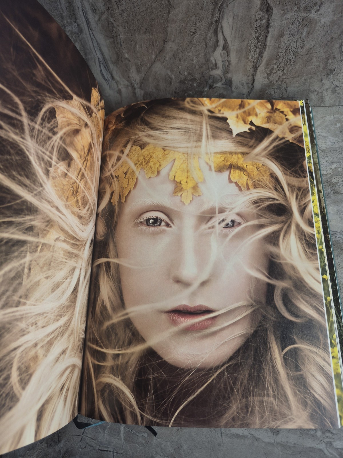 Wonderland by Kirsty Mitchell Illustrated Photography Color Photo HC Book