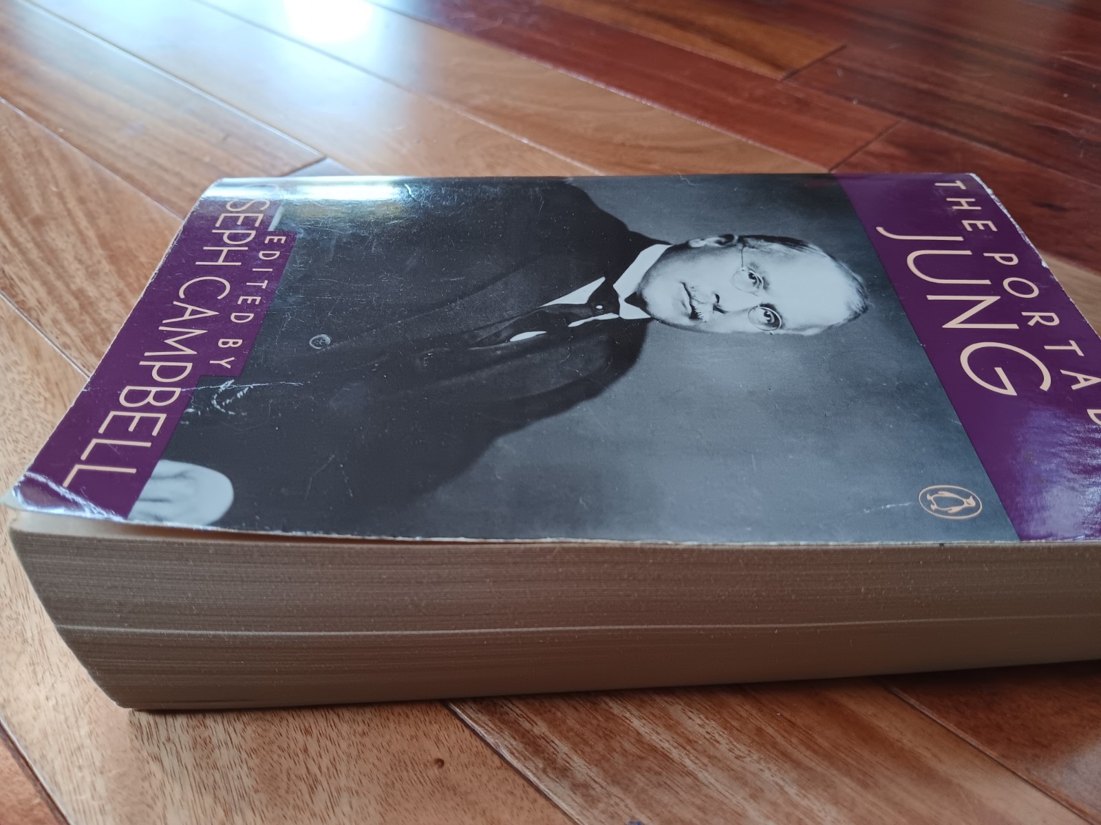 Portable Jung by Carl G. Jung (1976, Uk-B Format Paperback)
