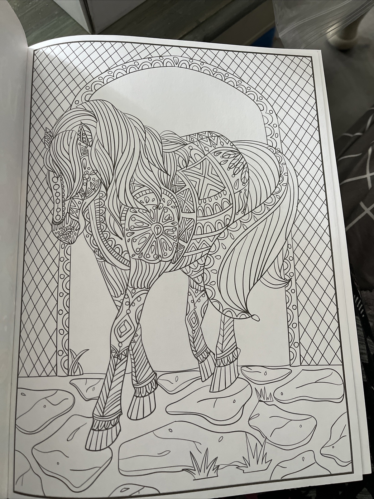 Cra-Z-art Timeless Creations Coloring Book, Wild at Heart, 64 pages