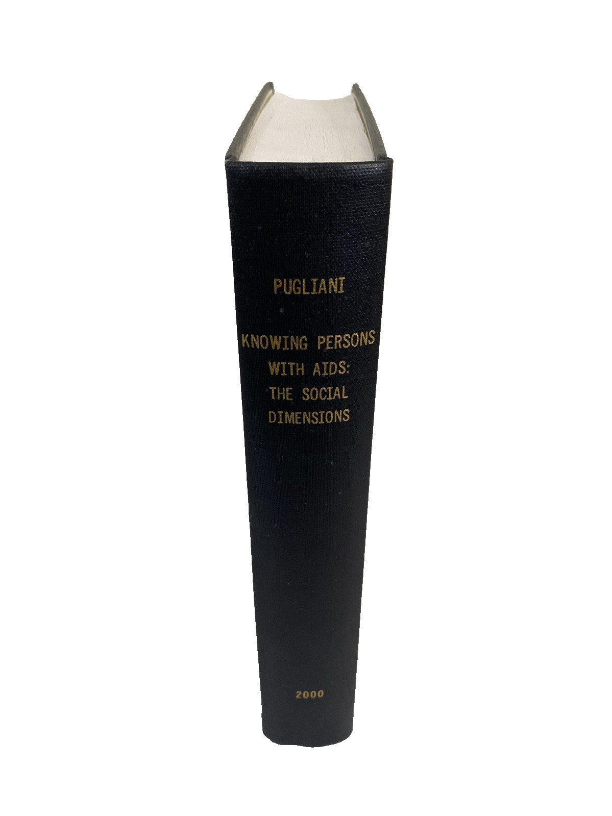 Knowing Persons With AIDS Social Dimensions Pugliani 2000 PhD Diss HC 298p 9×11+
