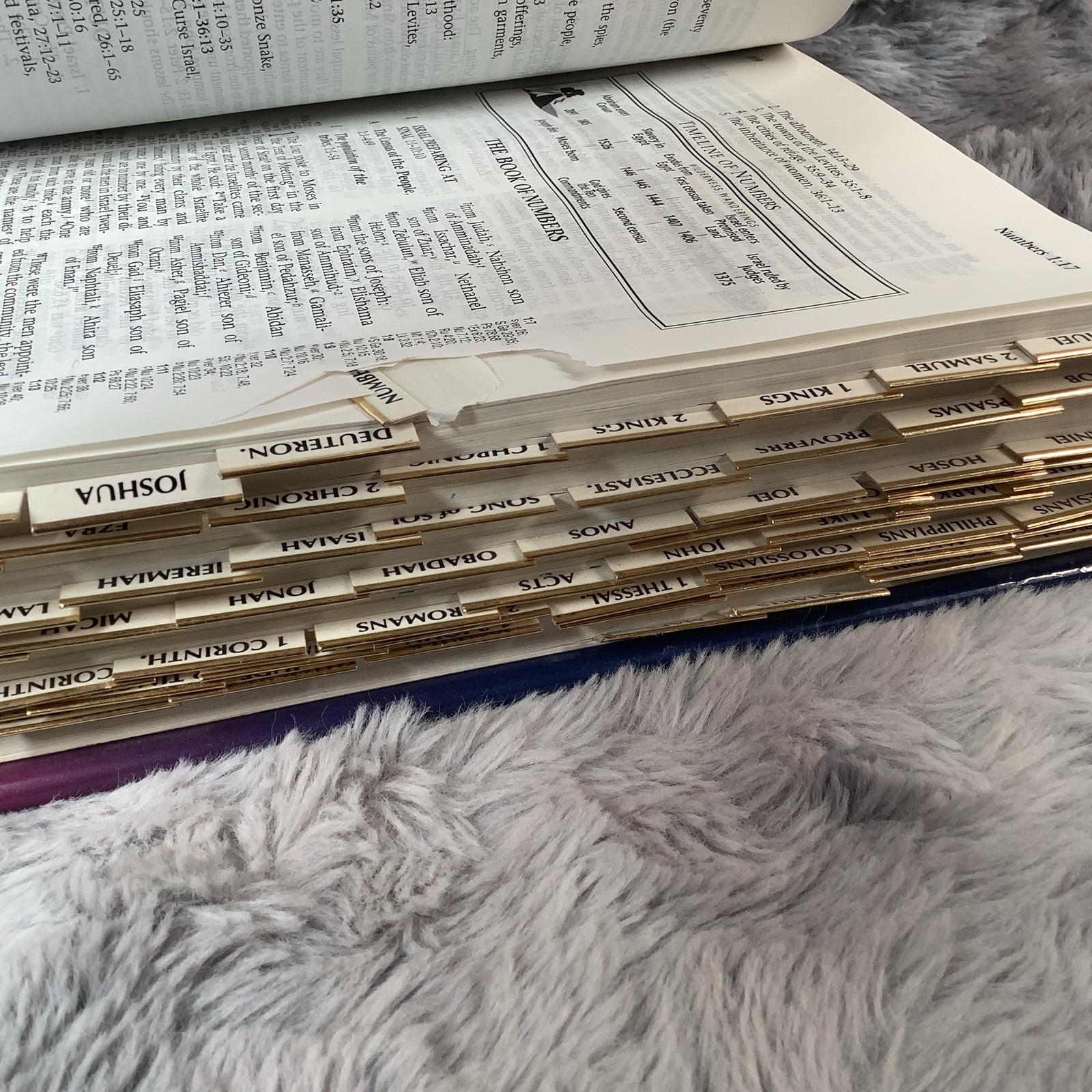 NIV Ryrie Study Bible 1994 Hardcover Text 1984 FREE SHIPPING