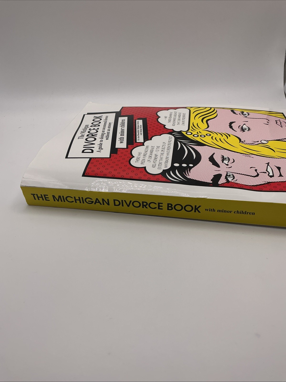 Michigan Divorce Book with Minor Children by Alan Bloomfield (2018, Trade…
