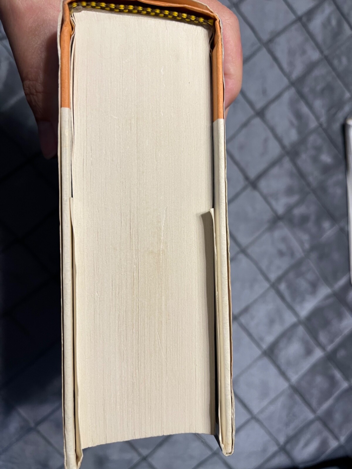 Earth’s Children Ser.: The Shelters of Stone by Jean M. Auel HC 2002 1st Edition