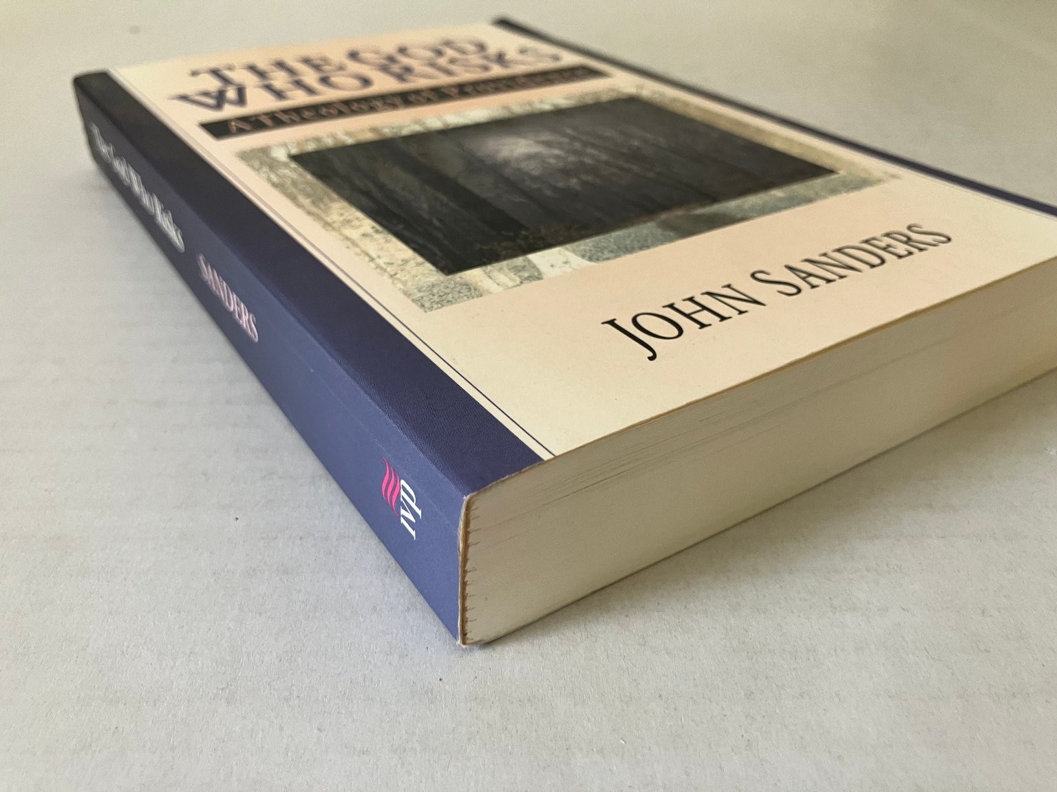 The God Who Risks John Sanders 1998 Theology of Providence InterVarsity Press