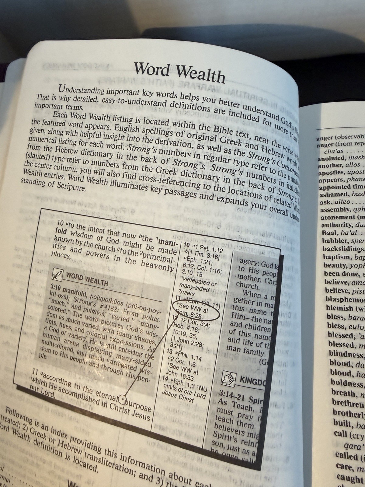 Spirit Filled Life Bible Nelson 2255BG Bonded Leather NKJV Red Letter 1991 READ