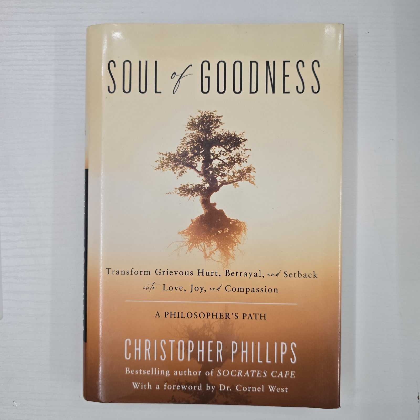 Soul of Goodness by Christopher Phillips ( 2022, Hardcover)