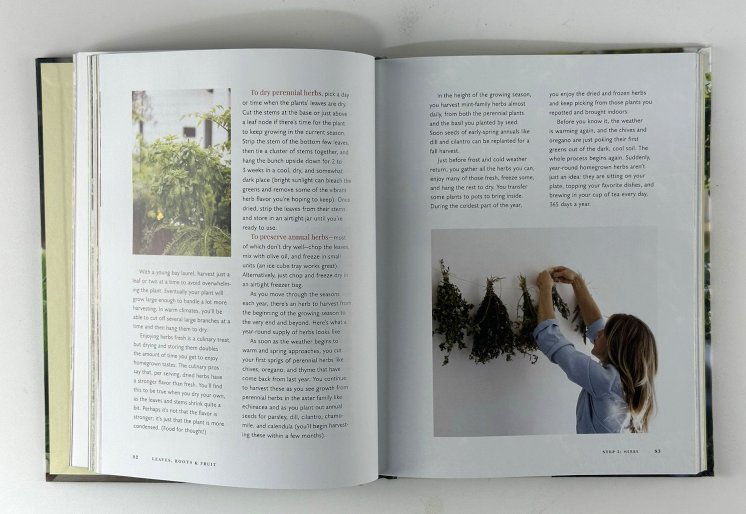 Leaves, Roots & Fruit : A Step-By-Step Guide to Planting an Organic Garden 2023