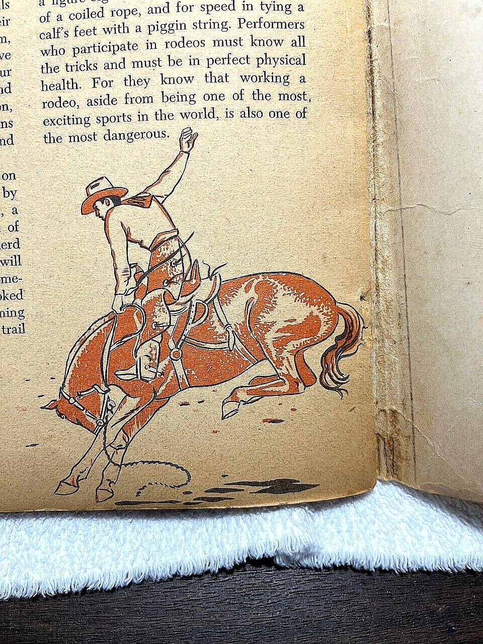 1955 HORSES Fletcher Nino Carbe History Breeds Equestrian Riding Indian Western