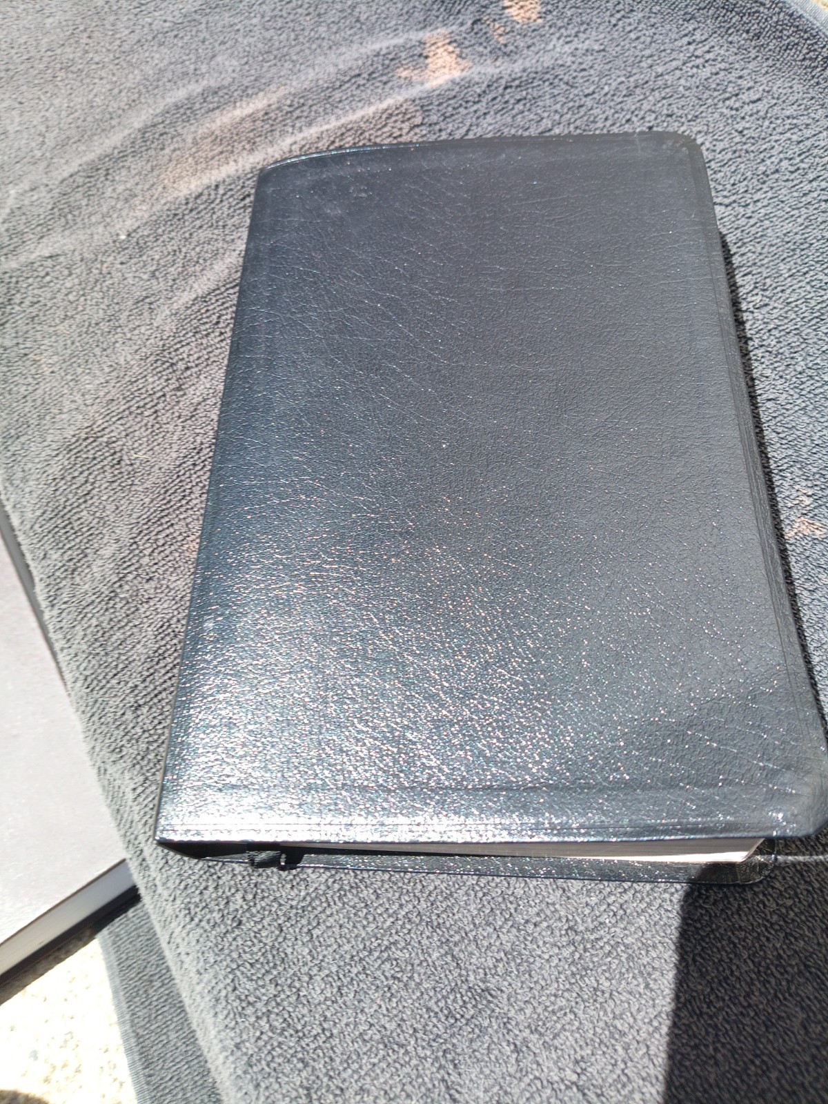 1998 NIV Prophecy Marked Reference Study Bible Bonded Leather Great Resource!