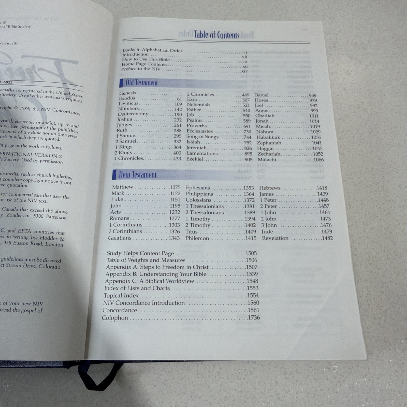 Freedom in Christ Bible by Zondervan Staff Blue 2001 Paint Splatter On Book
