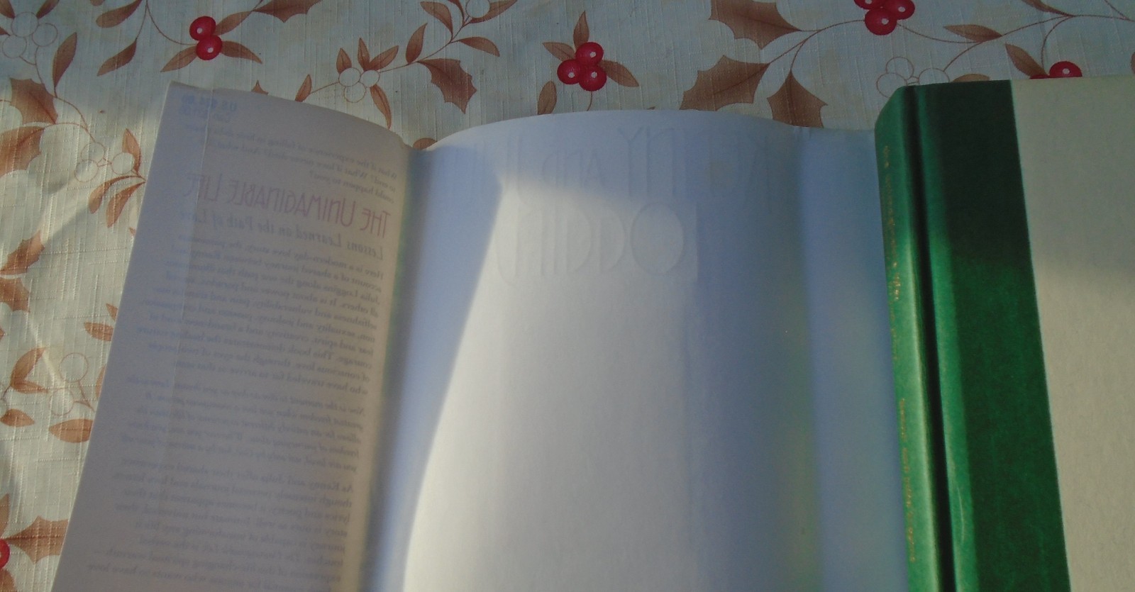 The Unimaginable Life By Julia Loggins SIGNED HARDCOVER