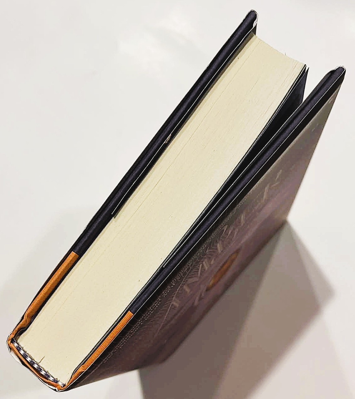 Amber and Dusk Lyra Selene SIGNED First Edition 1st Printing Hardcover DJ 2018