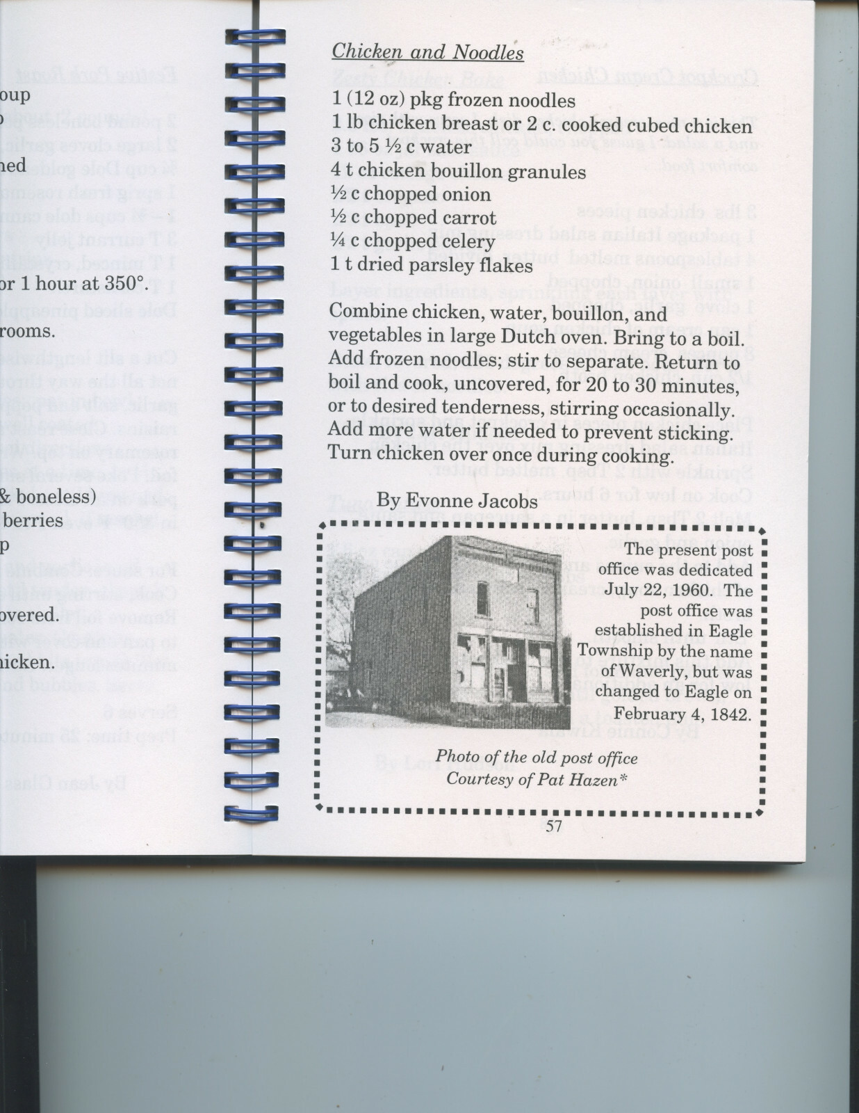 2004 „VILLAGE FARE“ COOK BOOK (EAGLE, MICHIGAN, RECIPES AND HISTORY, 190 PAGES)