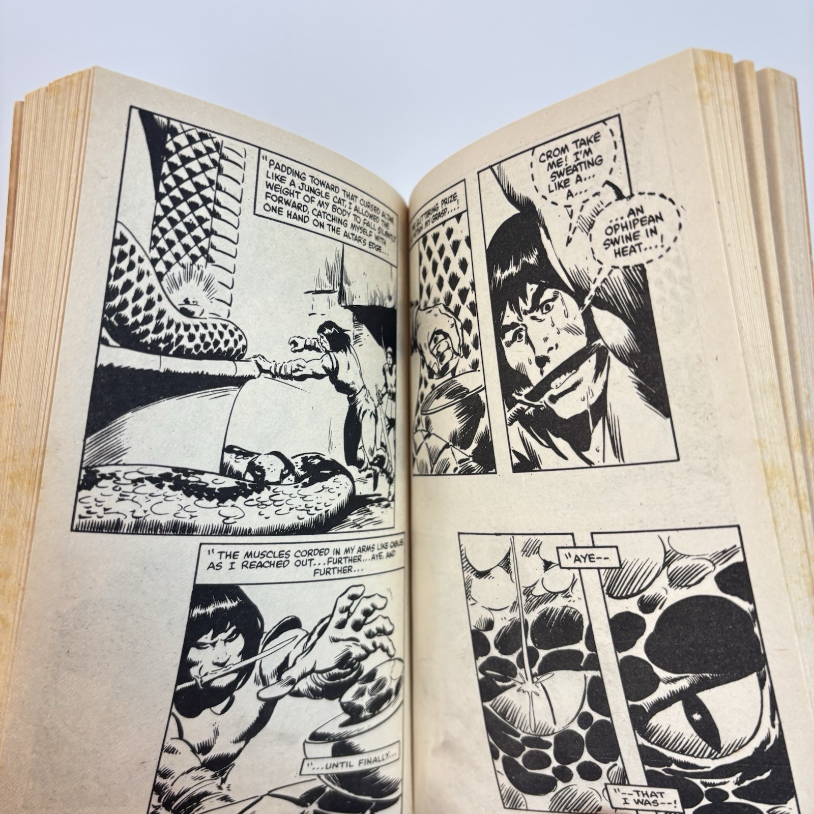 Conan The Barbarian Movie Adaptation Marvel Illustrated Book 1982 PB Graphic 3A