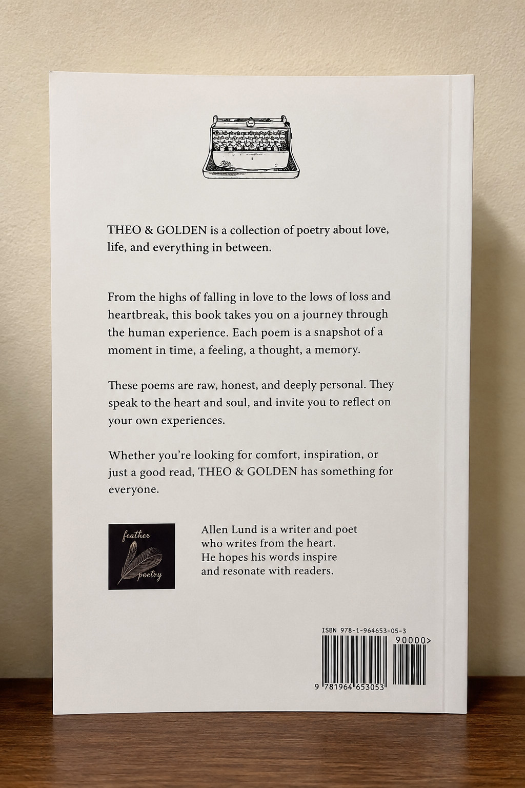 Theo of Golden Paperback by Allen Levi New book