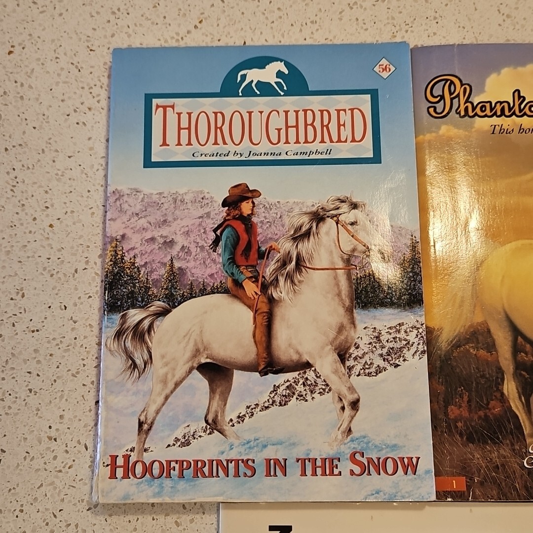 Horsemanship Care Riding Book Lot 10 Equestrian Pony Manual Horse Stories Mixed