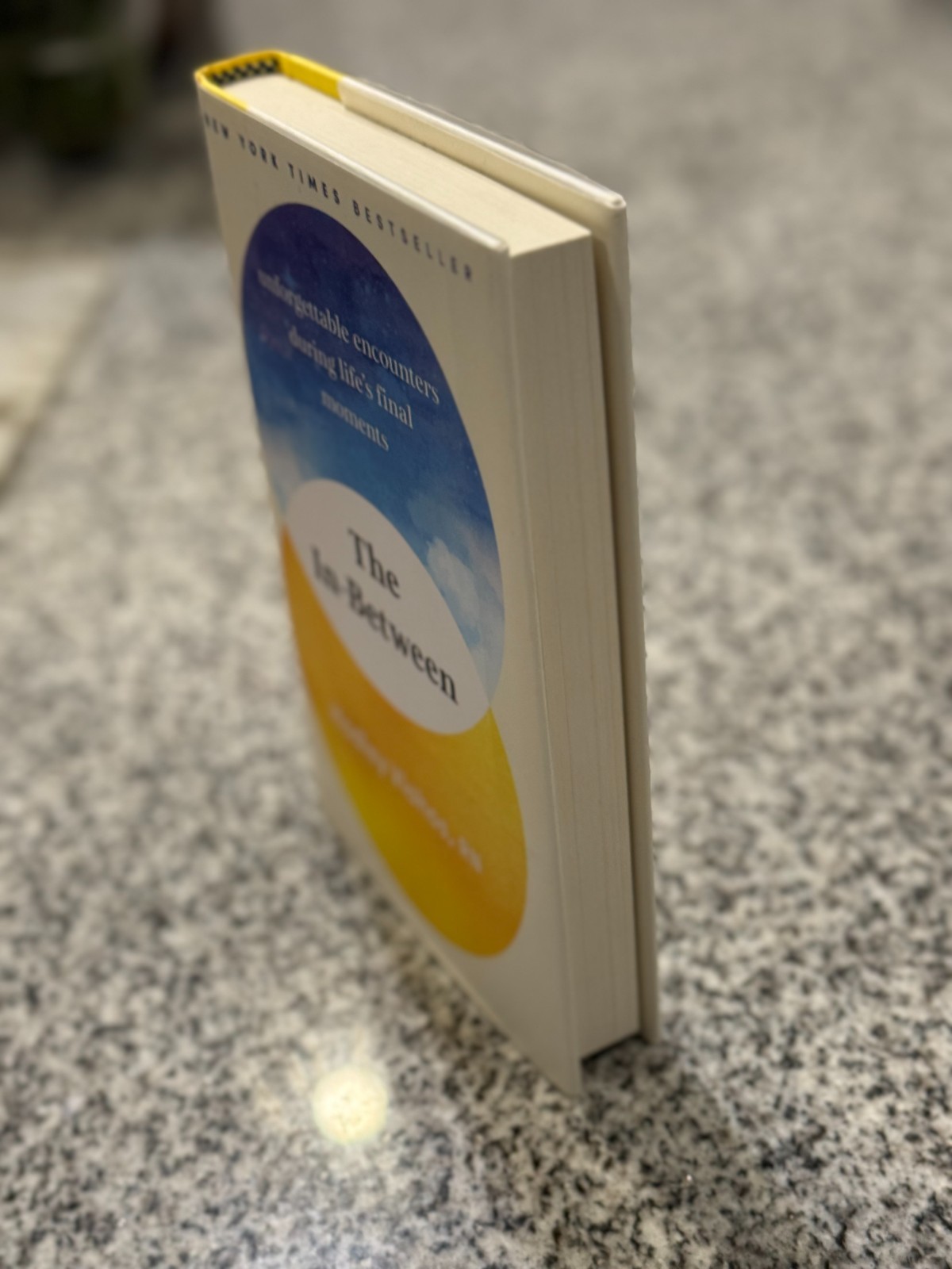 In-Between : Unforgettable Encounters During Life’s Final Moments