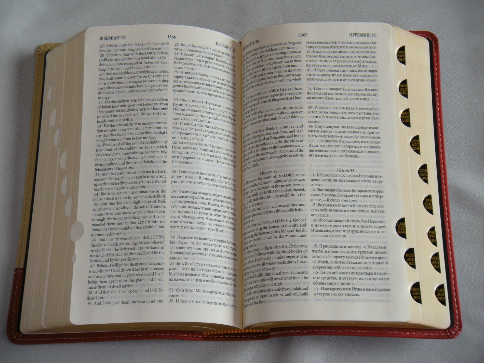 Russian/English Parallel Bible, Tan Cherry, ImitationLeather,Synodal/King James