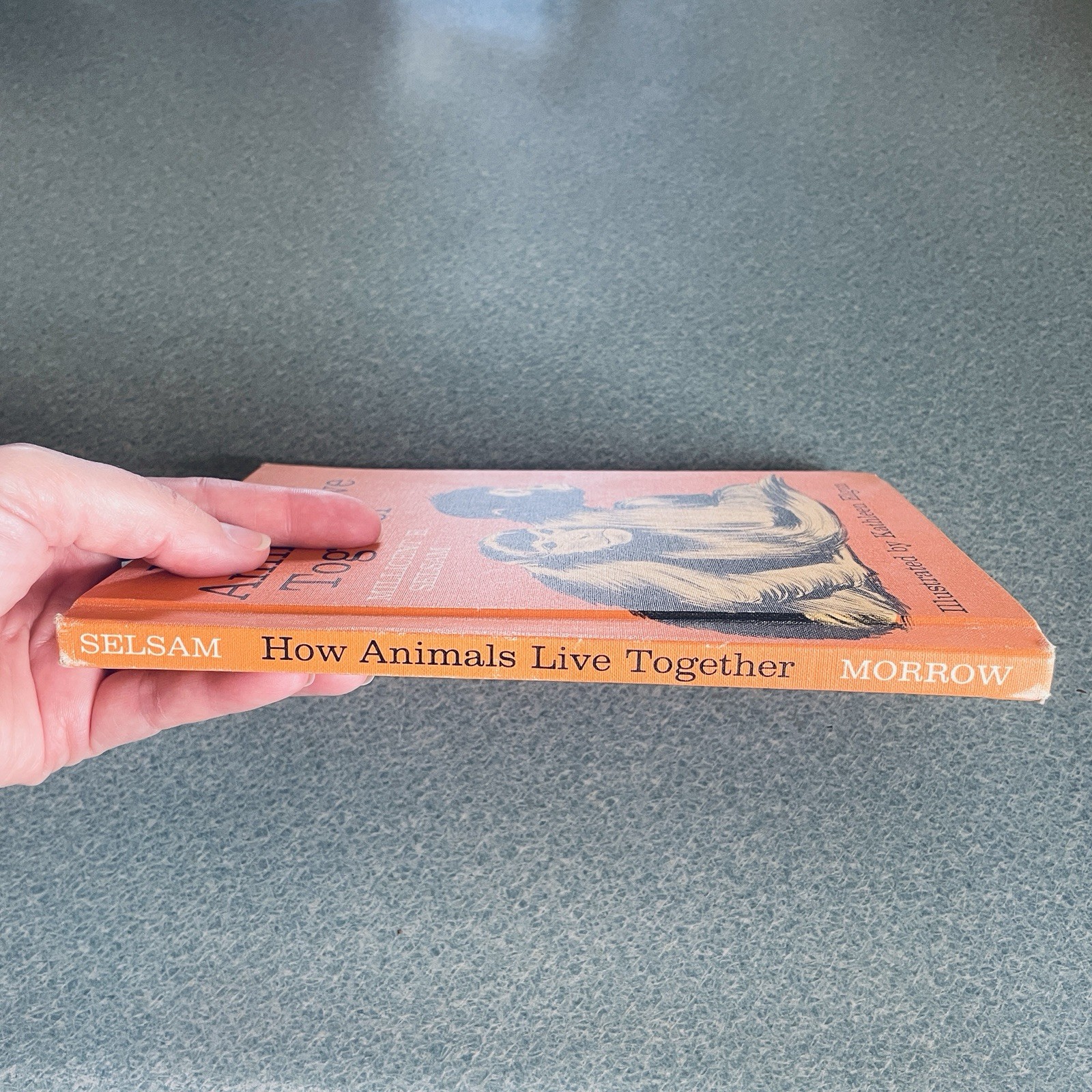 Vintage How Animals Live Together Hardcover by Millicent E. Selsam~ 1963