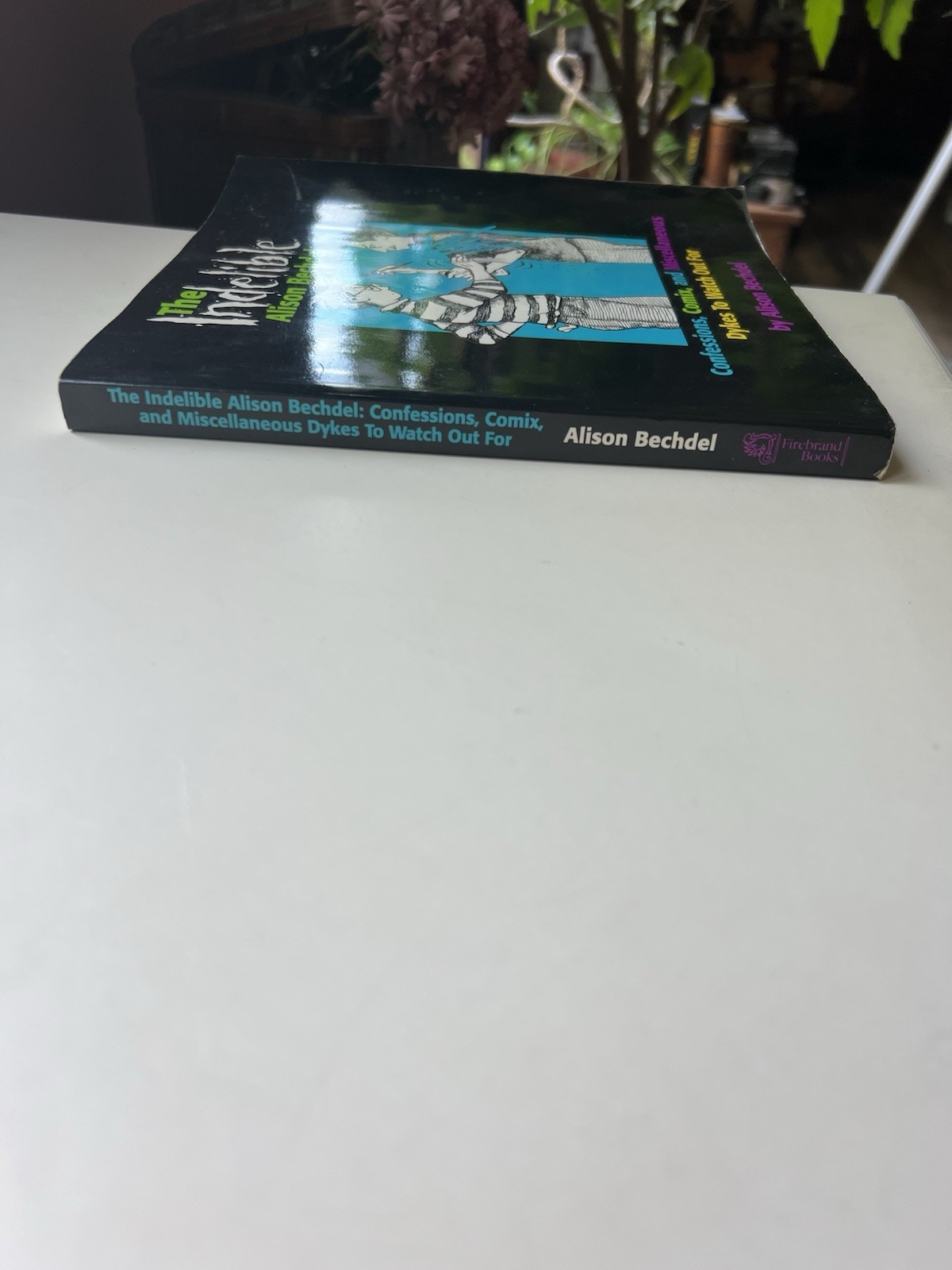 The Indelible Alison Bechdel Confessions Comix and Miscellaneous Dykes Paperback