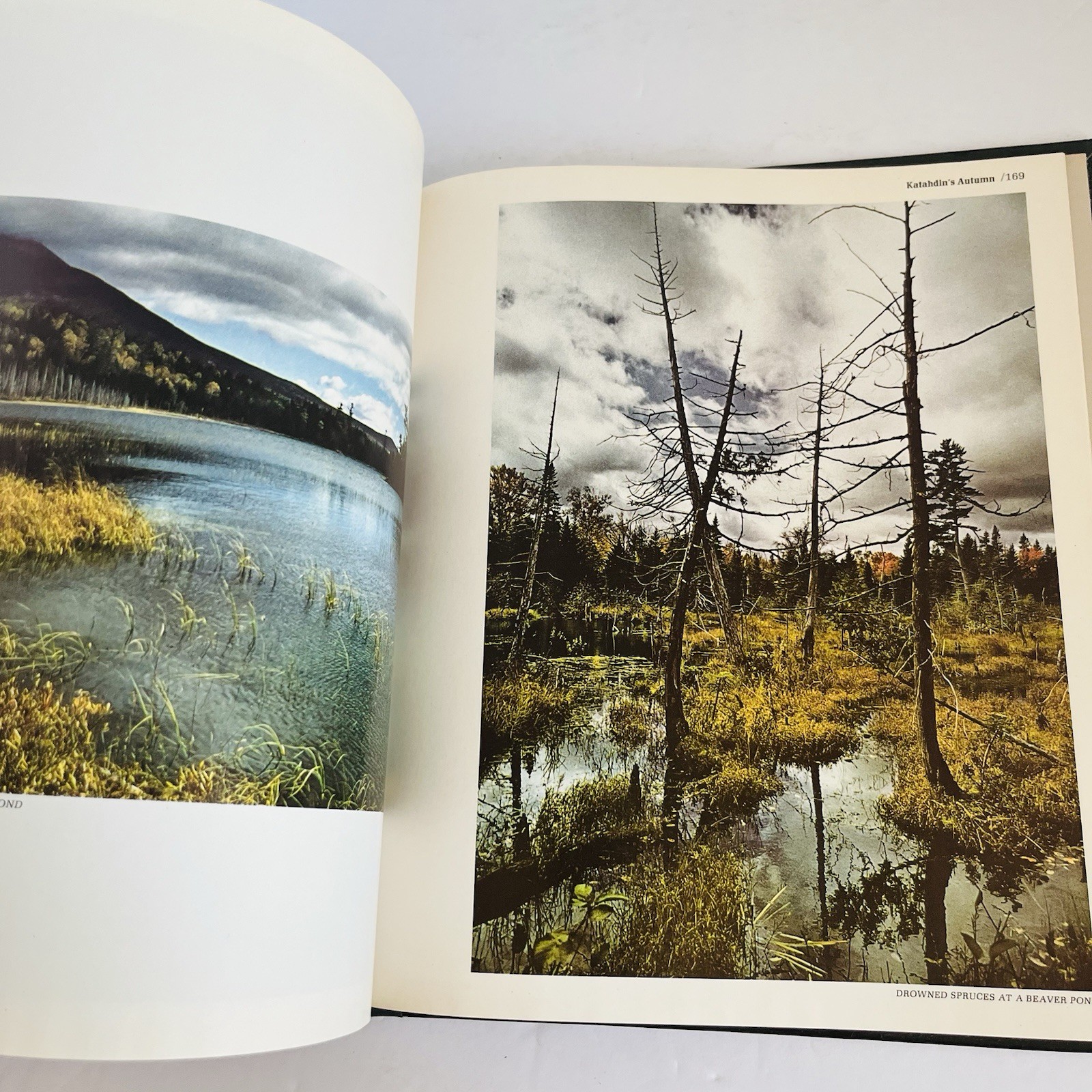 Vintage „The American Wilderness“ Time Life Books Collection 1973 Lot of 7