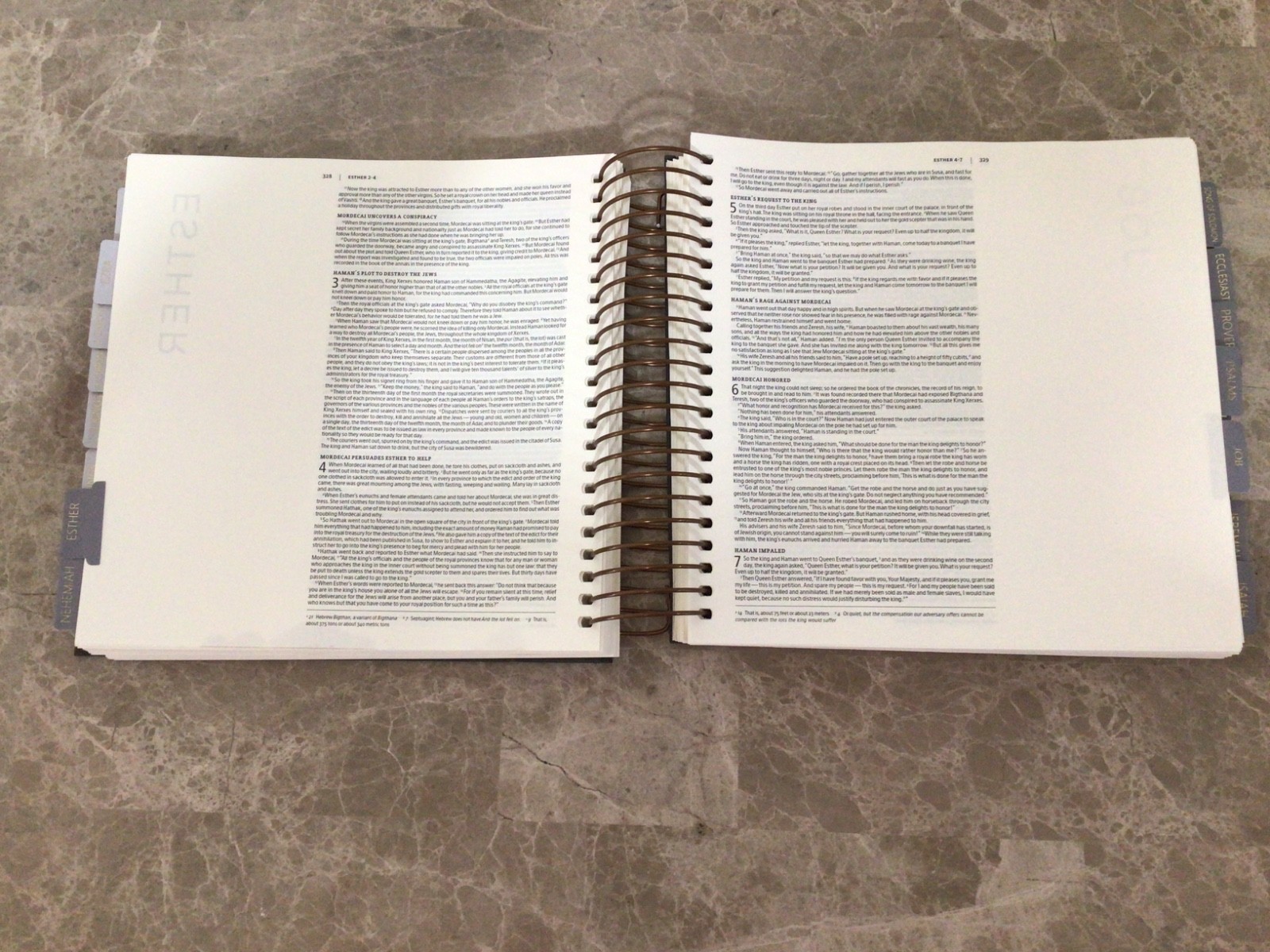 New International Version Illustrating Bible by DaySpring 2020 Leather Spiral