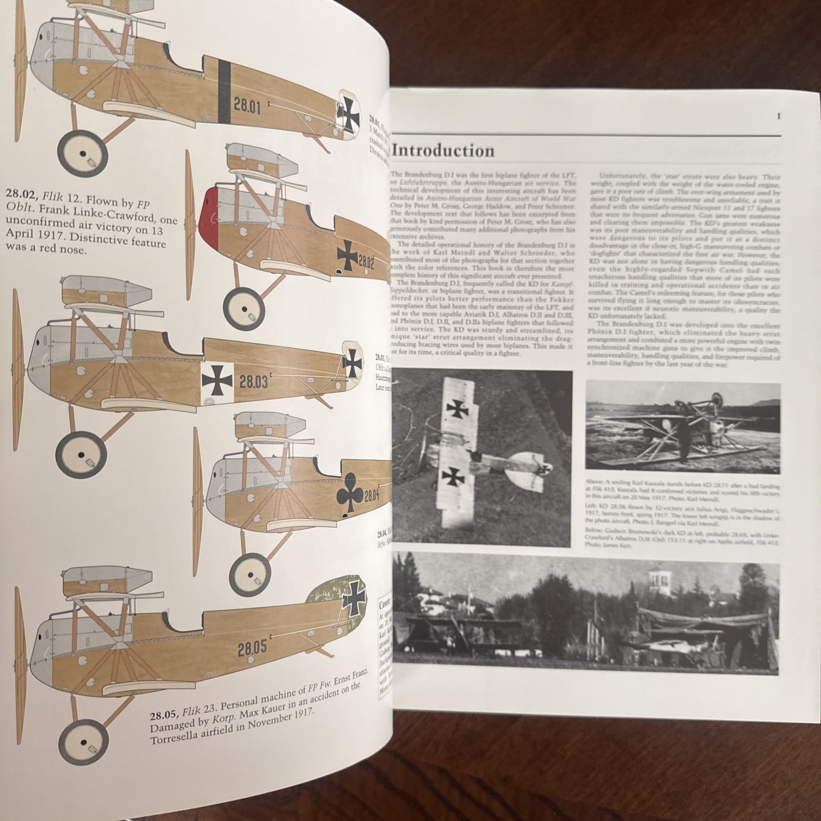 Pfalz Aircraft Salmson Bradenberg Sikorsky Great War Aircraft In Profile 4 books