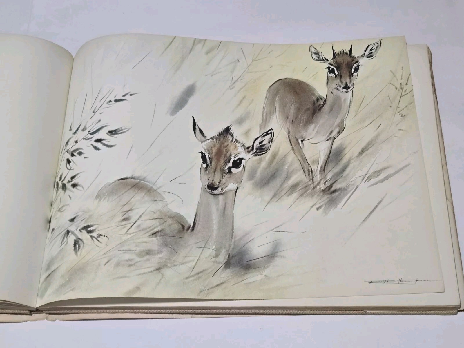 An Artist’s Safari By Ralph Thompson 1970 Hardcover DJ Artist Sketch Book