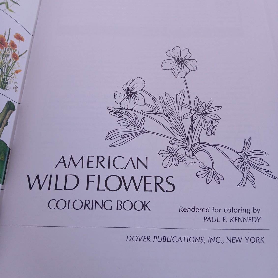 Dover Adult Coloring Books Lot Of 5 Nature Gardens Birds Flowers & WW1 Uniforms
