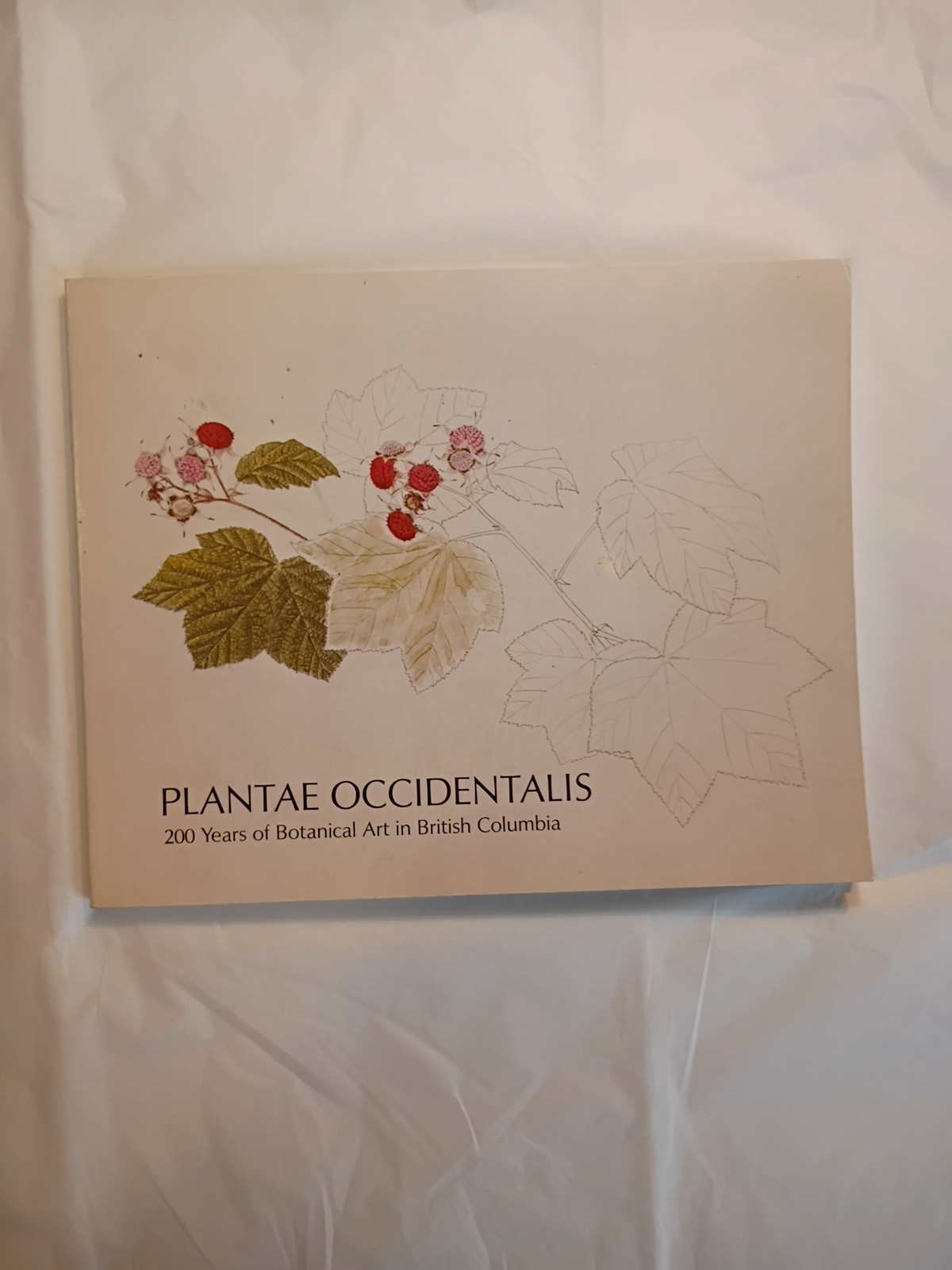 Plantae Occidental 1979 200 Years Of Botanical Art In British Columbia (658)