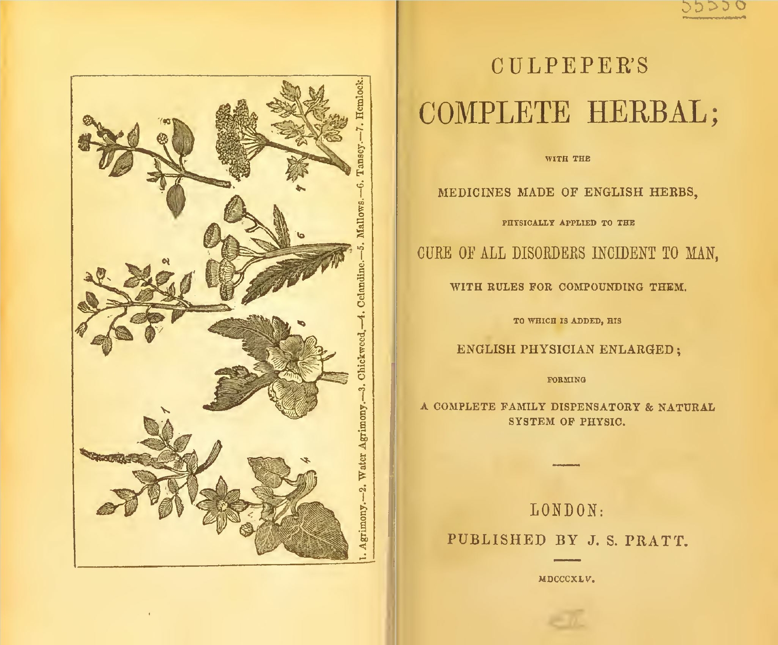 80 Books – Herbs Remedies – Herbal Herbalism Medicine Homeopathic Vintage CD/DVD