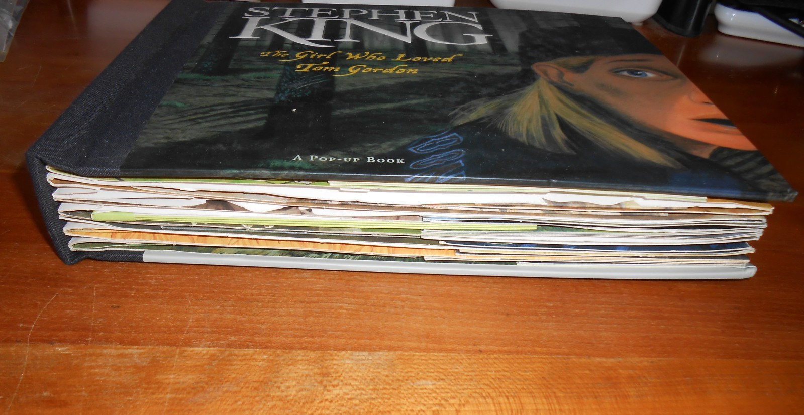 Stephen King THE GIRL WHO LOVED TOM GORDON: A Pop-up Book – HC VGC