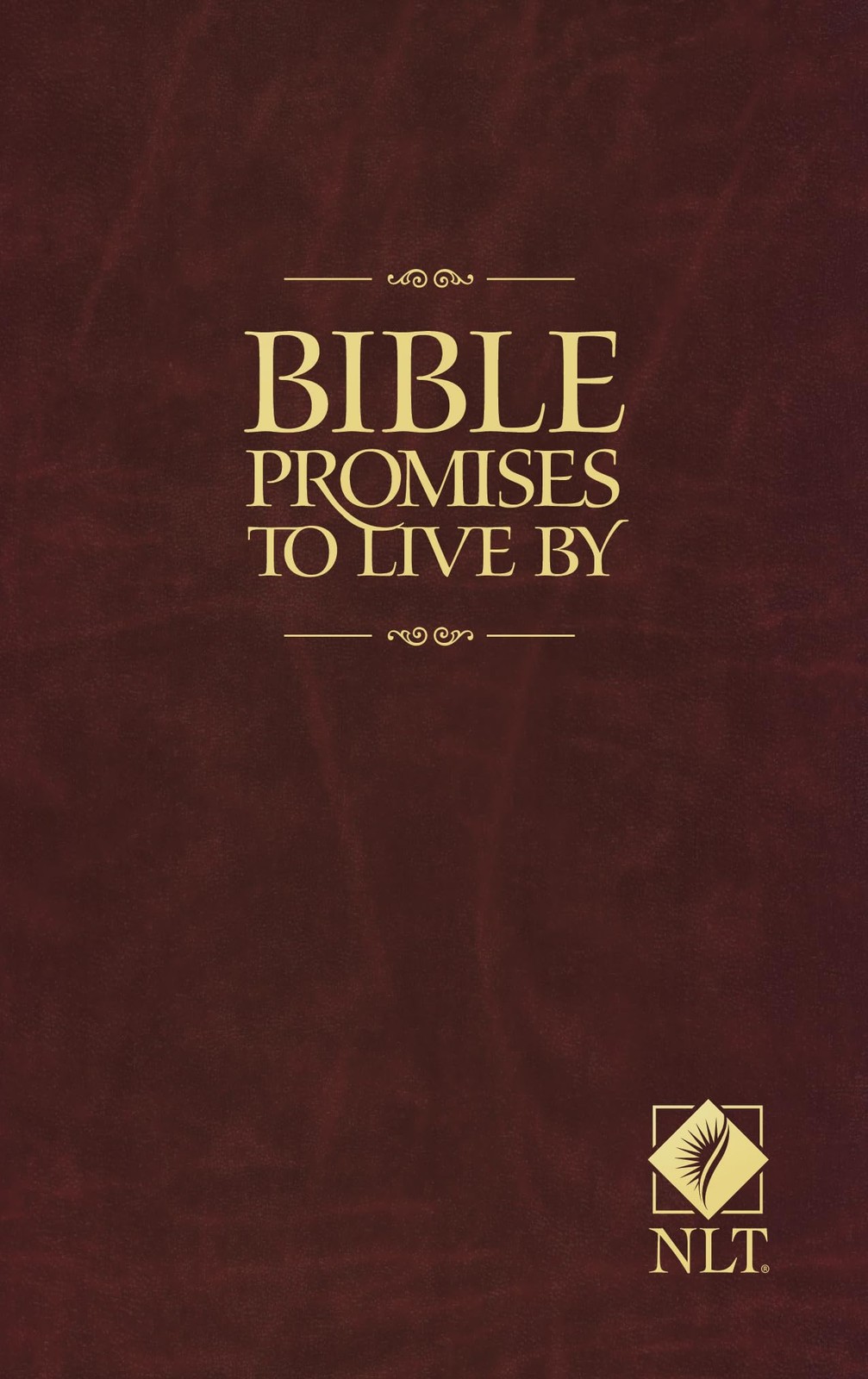 Bible Promises to Live By – paperback Beers, Ronald A.|Mason, Amy E.