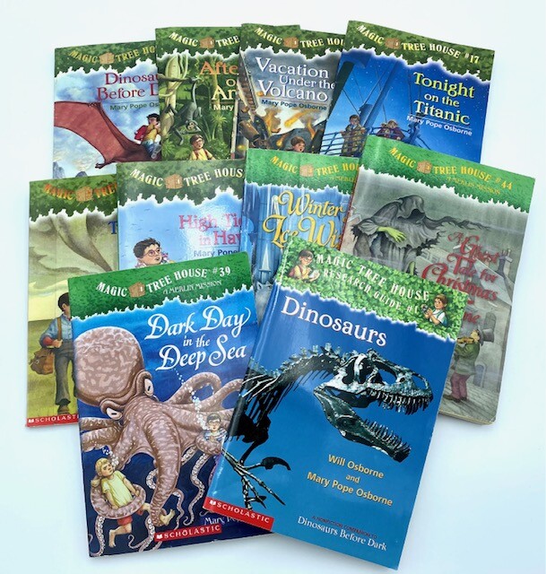 10 Magic Tree House lot of paperback books Mary Pope Osborne Kids chapter- GOOD