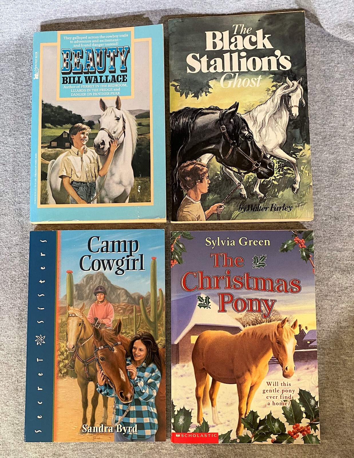 Horse Equestrian Books 29 in Lot 5HC & 24PB Chapter Picture Riding Veterinarian